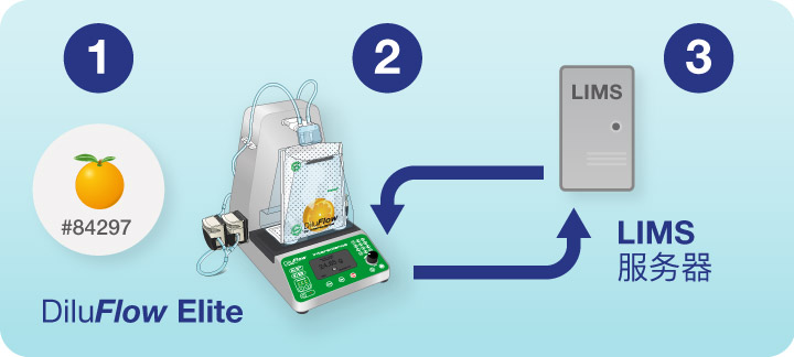 DiluFlow Elite 网络服务连接