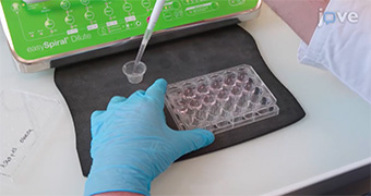 easySpiral Dilute - Interscience