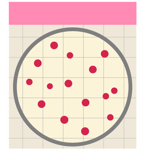 EasyPlate AC