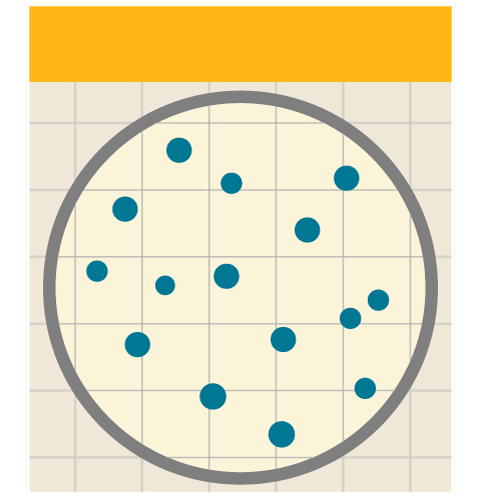 EasyPlate SA