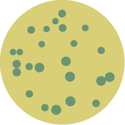 Compass 蜡样芽孢杆菌