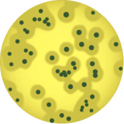 Scan Ai, Biokar (博尔卡) Compass Listeria模型