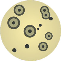 葡萄球菌 (BAIRD-PARKER, BAIRD-PARKER RPF)