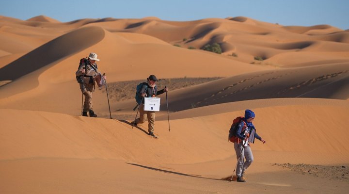  INTERSCIENCE为Rallye des Gazelles提供支持